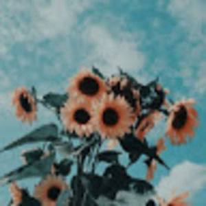 Meet your Posher, Kirsten